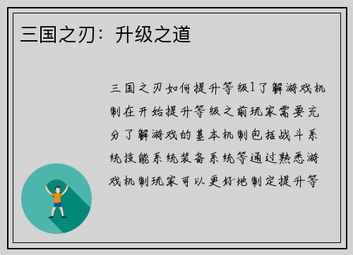 三国之刃：升级之道