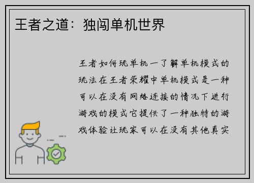 王者之道：独闯单机世界
