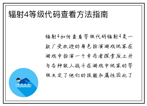 辐射4等级代码查看方法指南