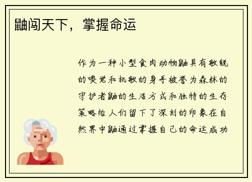 鼬闯天下，掌握命运